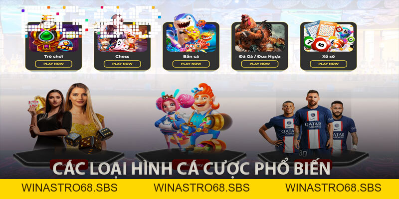 Kinh nghiệm kiếm tiền từ nhà cái dành cho người mới bắt đầu - WINASTRO68.SBS Kinh nghiệm kiếm tiền từ nhà cái dành cho người mới bắt đầu - WINASTRO68.SBS