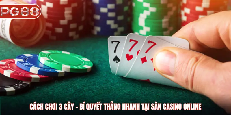 Cách Chơi 3 Cây: Bí Quyết Thắng Nhanh Tại Sàn Casino Online - WINASTRO68.SBS Cách Chơi 3 Cây: Bí Quyết Thắng Nhanh Tại Sàn Casino Online - WINASTRO68.SBS