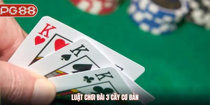 Cách Chơi 3 Cây: Bí Quyết Thắng Nhanh Tại Sàn Casino Online - WINASTRO68.SBS Cách Chơi 3 Cây: Bí Quyết Thắng Nhanh Tại Sàn Casino Online - WINASTRO68.SBS