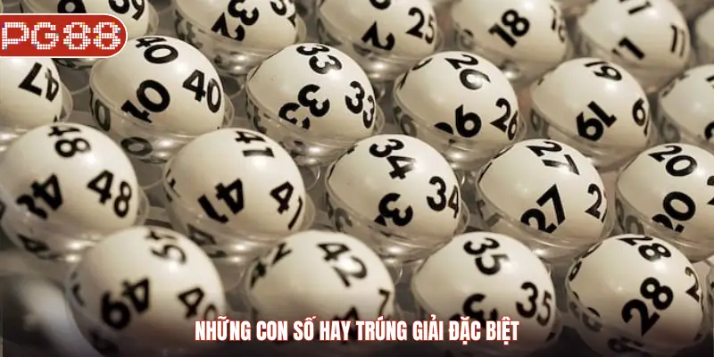 Những Con Số Hay Trúng Giải Đặc Biệt Và Bí Quyết Lựa Chọn - WINASTRO68.SBS