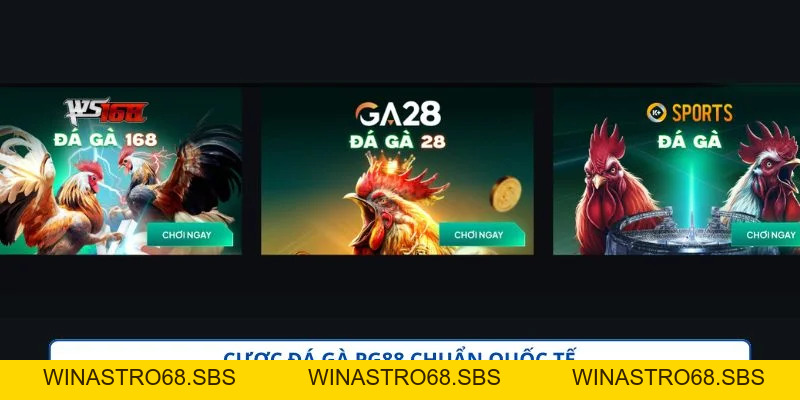 PG88 – Nền Tảng Cá Cược Trực Tuyến Dành Cho Người Chơi 18+ - WINASTRO68.SBS PG88 – Nền Tảng Cá Cược Trực Tuyến Dành Cho Người Chơi 18+ - WINASTRO68.SBS